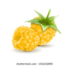 Two yellow raspberry on white background. Quality realistic vector, 3d