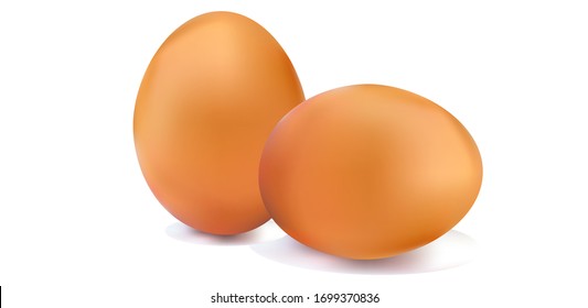 Dos huevos de gallina amarillos selectivos sobre un fondo blanco aislado.  ilustración vectorial realista.  Producto ecológico agrícola.  