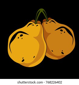 Two yellow simple vector pears, ripe sweet fruits illustration. Healthy and organic food, harvest season symbol. 