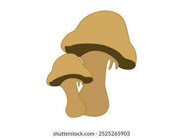 Two yellow-brown mushrooms from the autumn forest