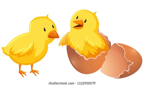 Two young chickens in shell illustration