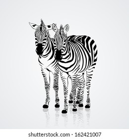 Two Zebras 