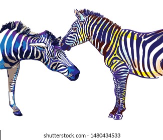 Two zebras. Stylish multi-colored pattern. Bright print. Love, relationships, romance. Male and female, male and female.