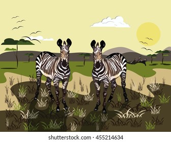 Two Zebras Vector Illustration. Wild Nature background