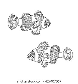 Two zentangle anemone clown fish, patterned animal, doodle vector design for adult colouring book