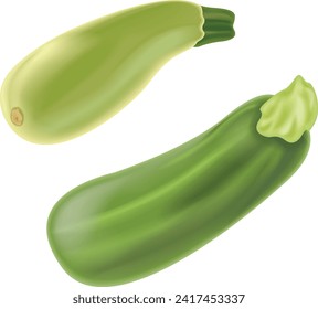 two zucchini green and light vegetables 3D. Icons 3d realistic render vector object. vegetable, yellow, zucchini, green, nature, raw, vegetarian, ingredient