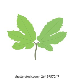A two-branch leaf design that looks like twins, this design is inspired by plants that are often found in tropical areas.
