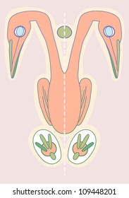 two-headed bird