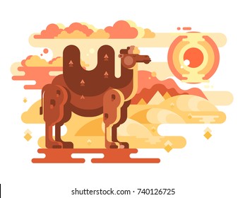 Two-humped camel in desert flat. Animal travel on nature, wild hardy mammal vector illustration