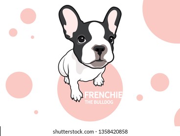 A two-tone French Bulldog sits on the pink bubble. A little Frenchie is looking at you with adorable eyes.