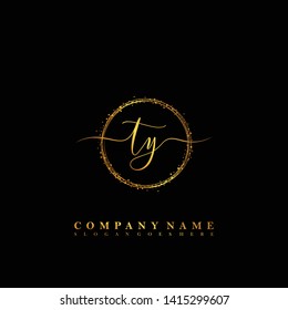 TY Initial luxury handwriting logo vector