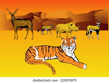 Tygier lying and animals behind him