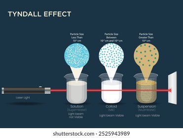 The Tyndall effect occurs when light scatters as it passes through a colloid, distinguishing it from solutions (no scattering) and suspensions (larger particles, more scattering).