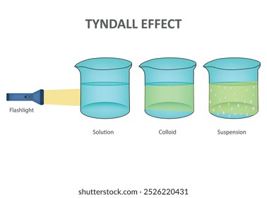 O efeito Tyndall é a dispersão de luz por partículas em um coloide, fazendo um feixe de luz visível quando ele passa.