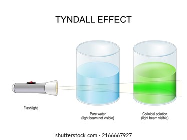 Tyndall effect. Science Experiment with two glasses with liquids and Flashlight. light beam in Pure water is not visible, in Colloidal solution light beam visible. vector poster for education