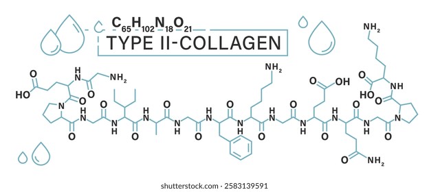 Type 2 Collagen chemical structure. Important protein that supports healthy joints, cartilage, and skin molecular formula. Amino acid chain. Editable vector illustration isolated on a white background