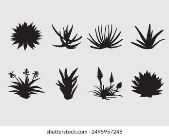 type of aloe plant vector silhouette collections.various aloe vera plant illustrations isolated on background