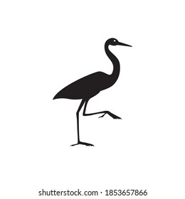 type of bird eating fish logo vector illustration