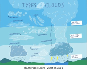 Type of clouds infographic Illustration. Science poster about weather sky and cloud. Arts of clouds and weather