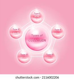 Type of collagen. The five most common types of collagen protein. Main protein created connective tissues, cartilages, bones, nails, skin and hair. Medical and science concept. Vector EPS10.