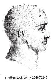 Type cranial given by Spurzheim in profile, vintage engraved illustration. Usual Medicine Dictionary - Paul Labarthe - 1885.