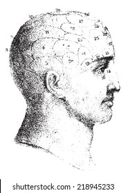 Type cranial given by Spurzheim in profile, vintage engraved illustration. Usual Medicine Dictionary - Paul Labarthe - 1885. 