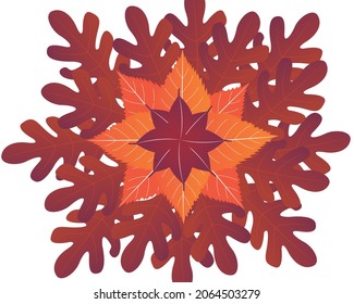 type of dry leaf vector simple