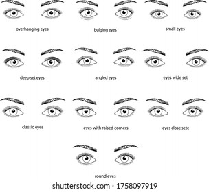 type eyes  deep set  overhanging eyes  eyes and raised corners close set round  small eyes vector hand draw picture   reference information for makeup artists  training manual