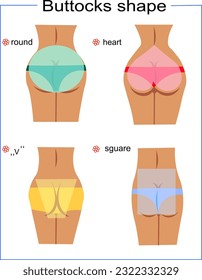 Tipo de nalgas hembras corazón redondo "v" cuadrado con forma de vector