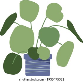 Type of Flat Style Indoor Plant for Design Decoration Elements that fits many design styles.