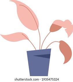 Tipo de planta interior de estilo plano para elementos de decoración de diseño que se ajustan a muchos estilos de diseño.