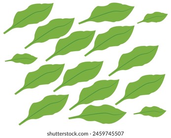 ​Different type Green leaf icon set. leaf icon on an isolated background.