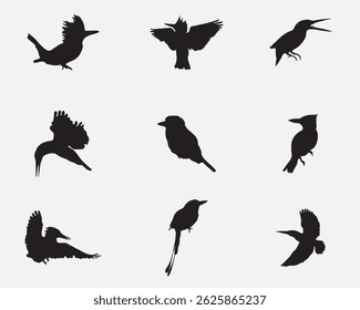 type of kingfishers bird vector silhoutte collections.kingfishers bird illustration bundle isolated on background