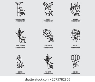 type of natural sweeteners outline icons collection.sugar sign come such source as honey ,agave ,date corn and other vector isolated on background