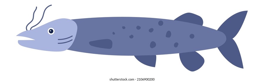 Type of river fish pike cartoon element isolated on white. Pike wildlife underwater, fish river element for menu. Vector illustration