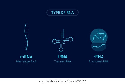 Tipo de RNA ou ácido ribonucleico. Célula gênica cromossômica. Biologia genética sintética combinada. Vetor de ciência médica.