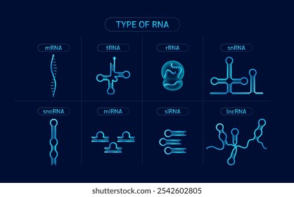 Tipo de RNA ou ácido ribonucleico. Célula gênica cromossômica. Biologia genética sintética combinada. Vetor de ciência médica.