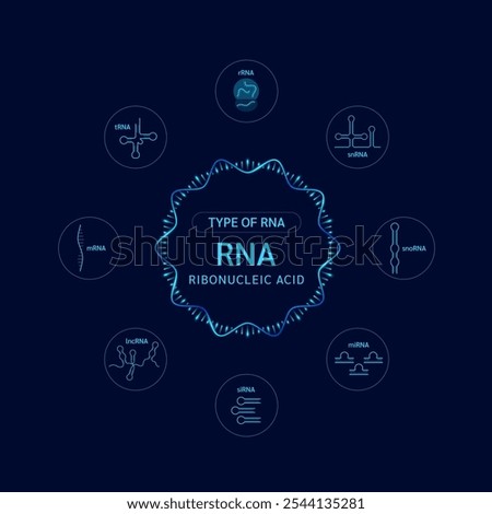 Type of RNA or Ribonucleic acid. Chromosome gene cell. Genetic synthetic biology combined. Medical science vector.