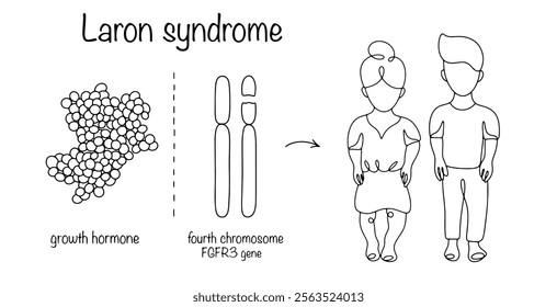 A type of short stature caused by a congenital defect in the growth hormone receptor gene, leading to insensitivity to the action of growth hormone. Drawing diagram of the disease.