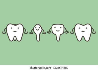 type of tooth ( incisor, canine, premolar, molar ) - dental cartoon vector flat style cute character for design