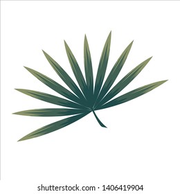 Type of tropical finger leaf 01