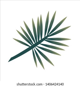 Type of tropical finger leaf 