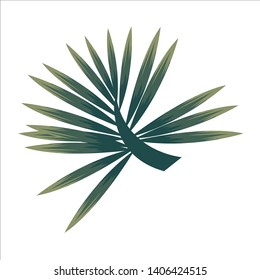 Type of tropical finger leaf 