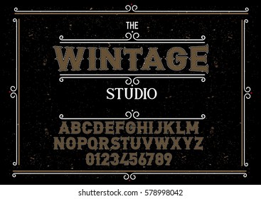 Typeface. Label. Wintage typeface, labels and different type designs