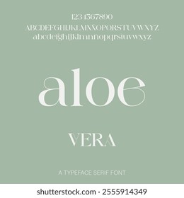 A typeface serif font. Modern font.Vectorial text. Typographic logo