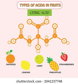 Types Acids Fruits Citric Acid Stock Vector (Royalty Free) 2041237748 ...