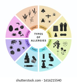 Types of allergies infographics design vector illustration. Animal hair, latex, drugs, insect, food, gluten, pollen allergy. Banner template with different allergen symbols