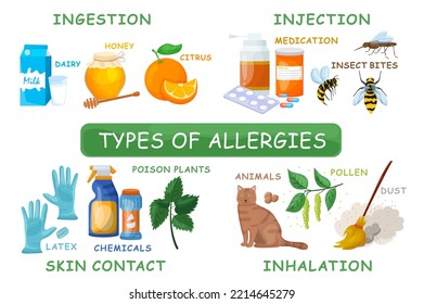 Types of allergies. Medical infographic. Creative scheme in cartoon style. Editable vector illustration isolated on a white background. Vector landscape background. Horizontal poster.