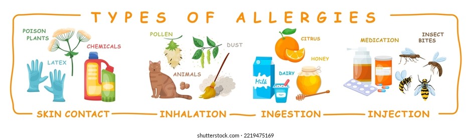 Tipos de alergias. Infografía médica. Esquema creativo al estilo de las caricaturas. Ilustración vectorial editable aislada en un fondo blanco. Fondo del paisaje vectorial. Afiche horizontal.