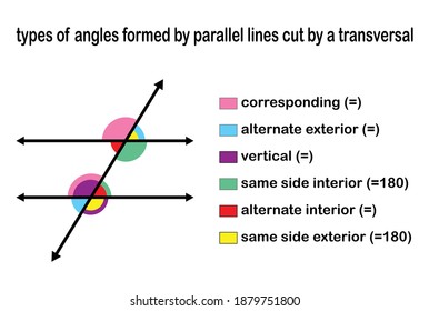 types of angles formed by parallel lines cut by a transversal